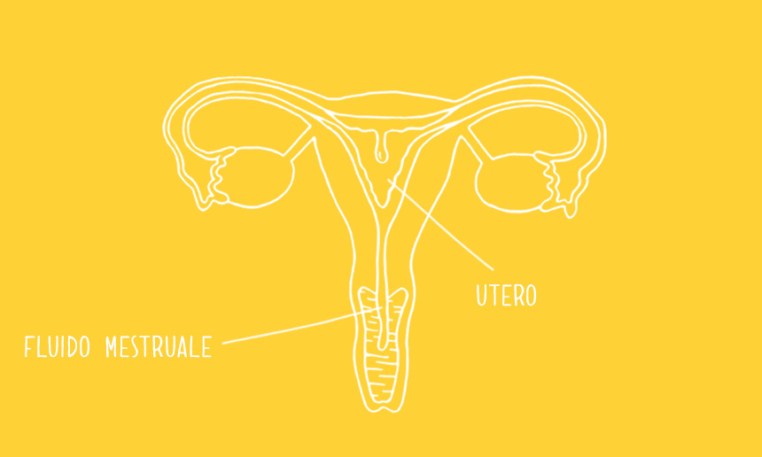 Il tuo primo ciclo
